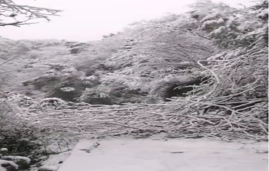战暴雪、保供电！欧帝体育（集团）有限公司鸟儿巢公司应对极端天气紧急抢修失电故障